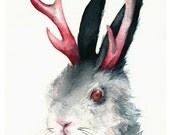 Jackalope Art- "Jack" , Archival art print. .men, antler, pink, grey