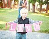 LOVE Banner Il_170x135