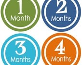 Baby Month Stickers Baby Boy Monthly Onesie Stickers Navy Blue Green Orange First Year Month Stickers Baby Shower Gift and Photo Prop - Nate