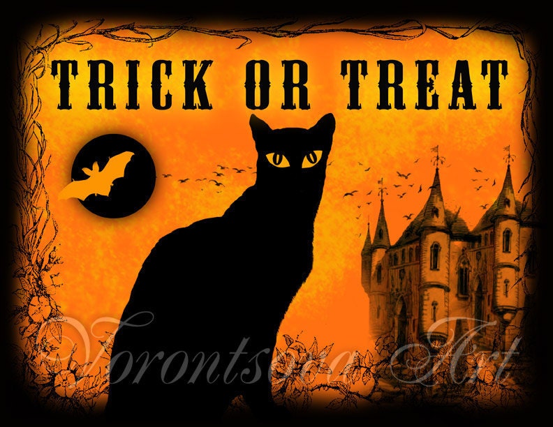 Black cat Halloween