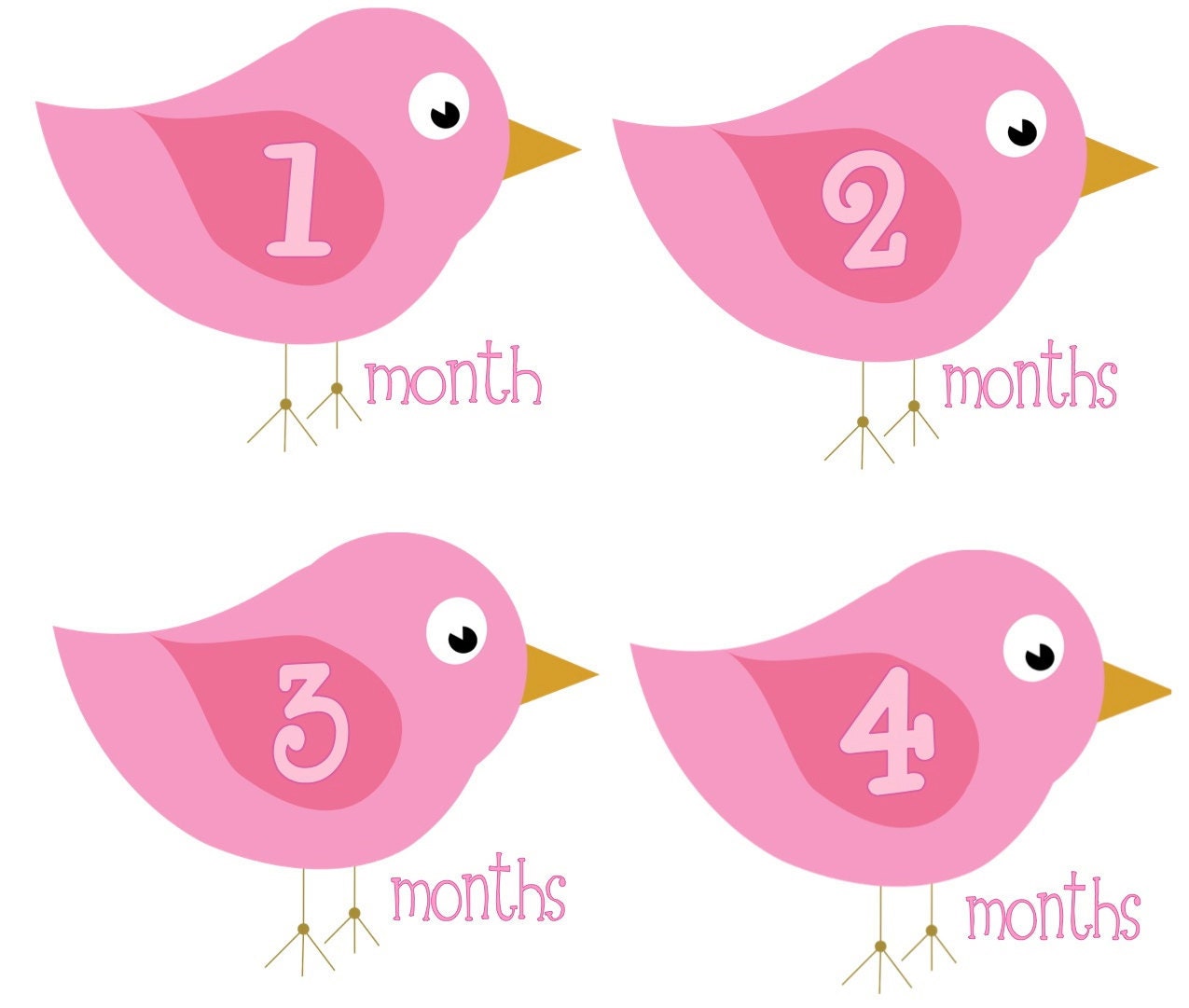 Baby Month Stickers Girl Monthly Onesie Stickers Hot Pink Light Pink Birdies Bird Month Stickers Girl Baby Shower Gift and Photo Prop Chloe