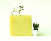 Blood Orange Ginger Soap - Organic Vegan Cold Process Soap - Handmade Soap - Bar Soap