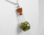 Tiny Terrarium Necklace