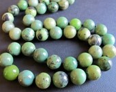 Chrysoprase Knotted Necklace- Forest