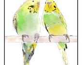 Budgies Personalized Greeting Card