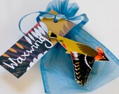 Waxwing Bird Brooch