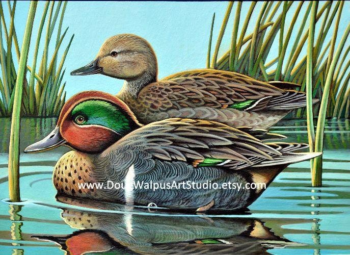 russian wildlife art prints duck print