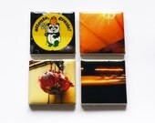 LANTERN PANDA LIGHTS Fridge Magnet set of 4