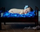 2 YARDS of Royal Blue Fabric, Newborn Baby Photo Prop, Backdrop or Floordrop, Blanket with Roses, Throw, Bean Bag Cover