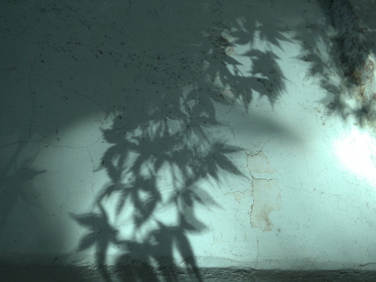 Photo photograph photography - Green shadows