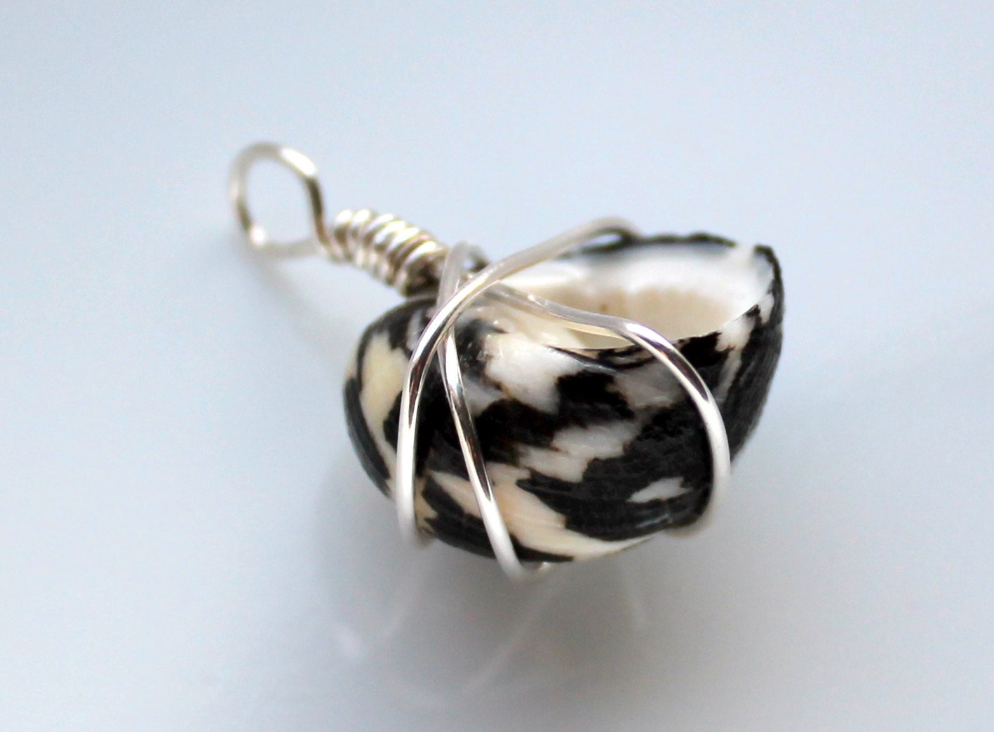 Sterling wrapped black and white snail seashell pendant. wire wrapped seashell charm key pull. mens gift. christmas ornament nautical