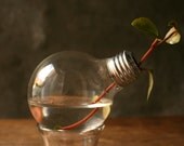 Shabby Chic Decor Lightbulb Vase Glass Vase Cottage Style - Minimalist Design