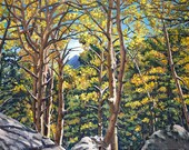 Landscape Painting - Aspens in Estes - 18 X 24