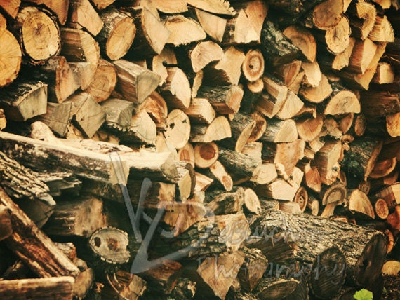 Woodpile 8x10 Fine Art Abstract Photograph Print getting ready for winter