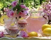 Pink Lemonade Handmade Lip Balm - All Natural Jumbo Size