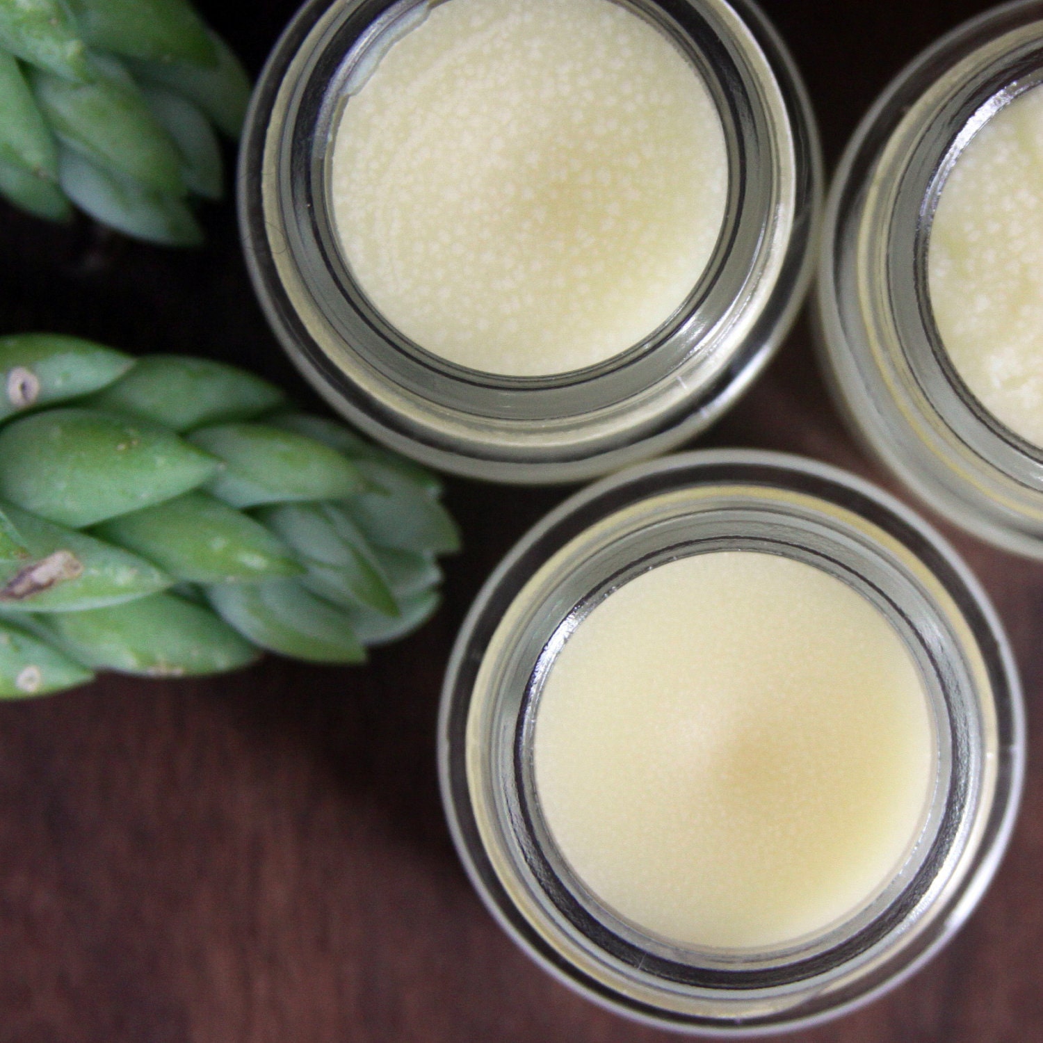 Ginger Orange Peel Lip Balm and Salve Certified Organic Ingredients