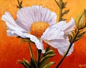 Matilija, Poppy, flower, Print, 11 x 14 inch with double mat, whimsical, cheery and bright