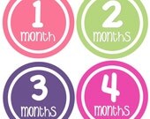 Baby Month Stickers Baby Girl Monthly Onesie Stickers Hot Pink Green First Year Stickers Month Stickers Girl Baby Shower Gift Photo Prop Nya