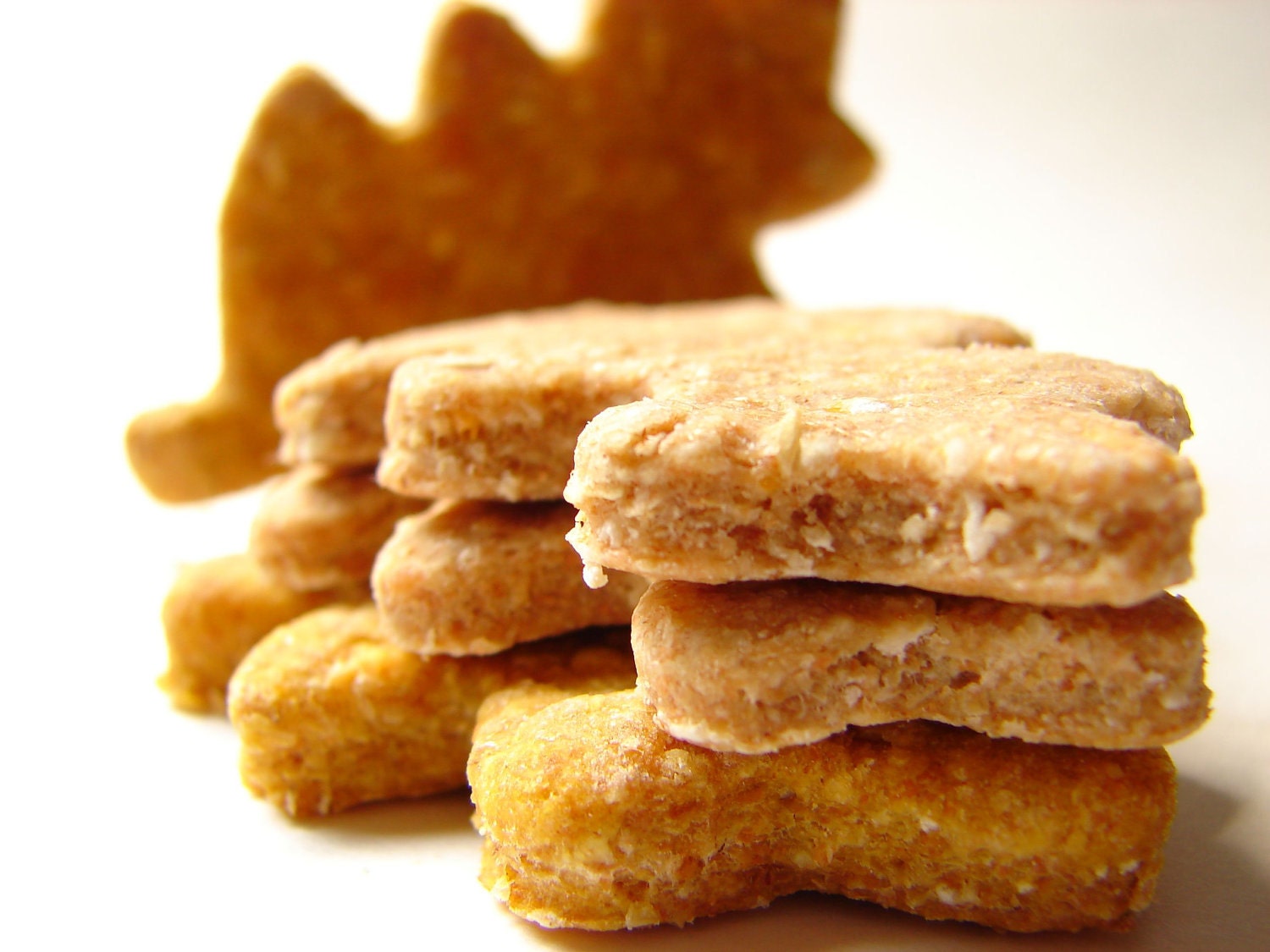 Daily Dog Biscuits--FREE SHIPPING--2 Flavors-Healthy Vegetarian-1 Dozen