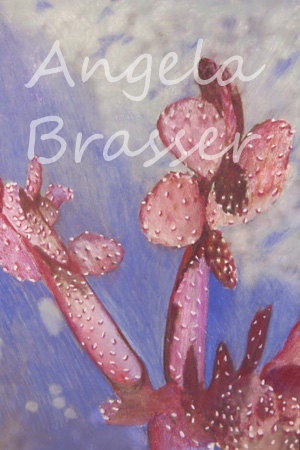 Abstract Cactus Giclee Print