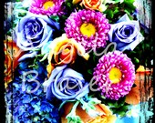 Color Pop of Flowers Fine Art Photograph