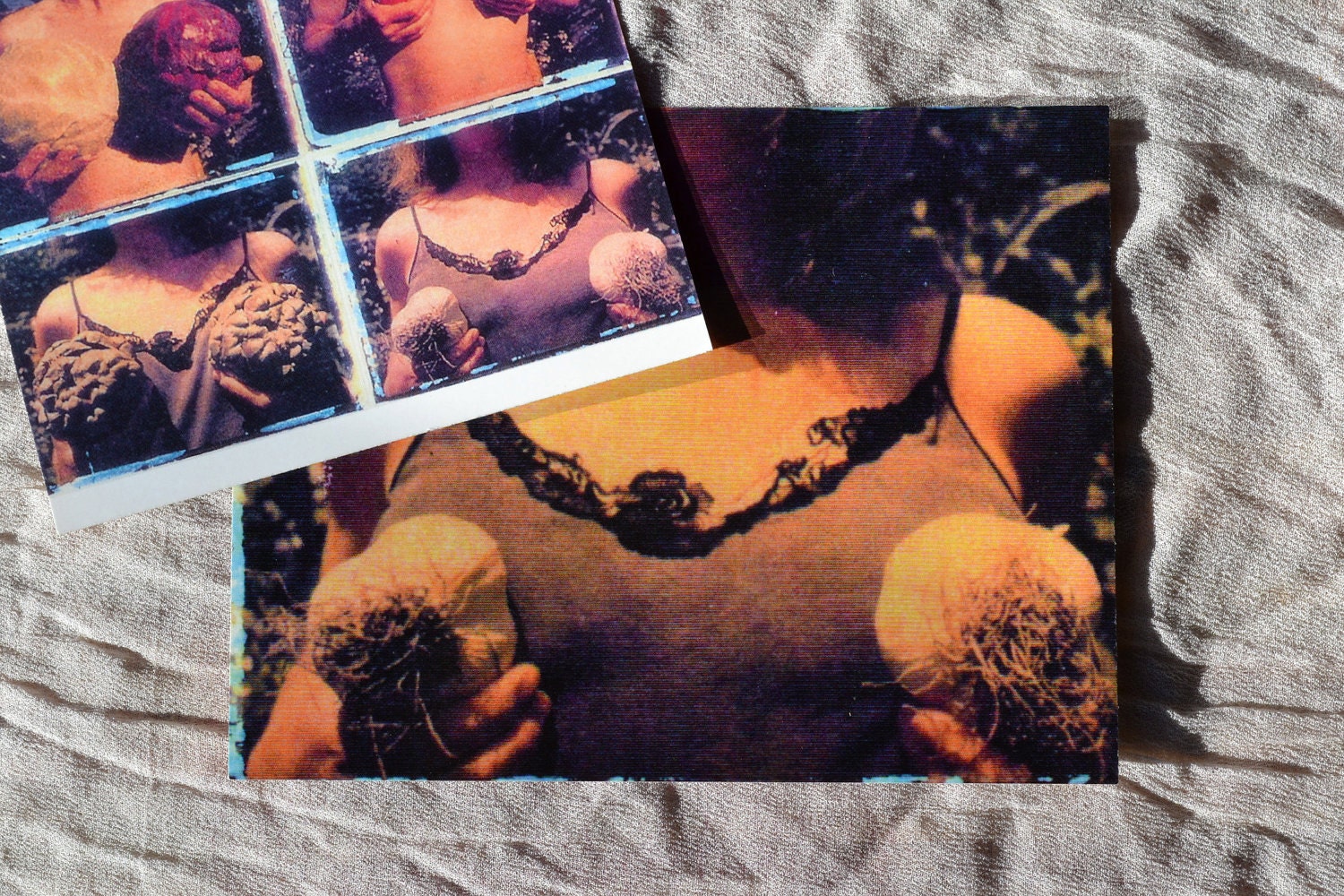 Garden of breasts with garlic/ photo postcard