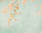 Nature Photo - Shabby Chic Wall Art in Pastel Colors - Salmon Pink & Aqua - Fine Art Photography Print - Home Decor - "Spring Blooms"