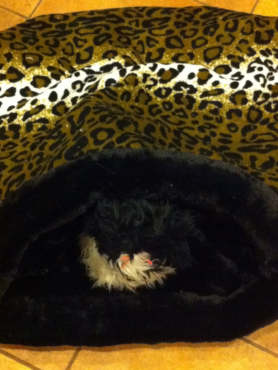 SNUGGLE-SACK Pet bed 22 X 22 All Faux Fur PLUSH, medium
