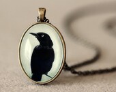 Crow Pendant - Gothic Jewelry - Wearable Art - Photo Pendant - Glass Pendant - Antiqued Brass Necklace - Raven Jewelry - Gothic Necklace