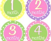 Baby Month Stickers Baby Girl Monthly Onesie Stickers Hot Pink First Year Stickers Onesie Month Stickers Baby Shower Gift Photo Prop Tad