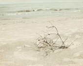 8x12 Branch