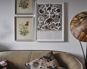 Large Print - Burrowing Animals Poster