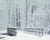 Winter Woods with Bridge Photograph. 8x10 Fine Art.  Affordable Wall Art. Snowy, White, Woodland Forest.