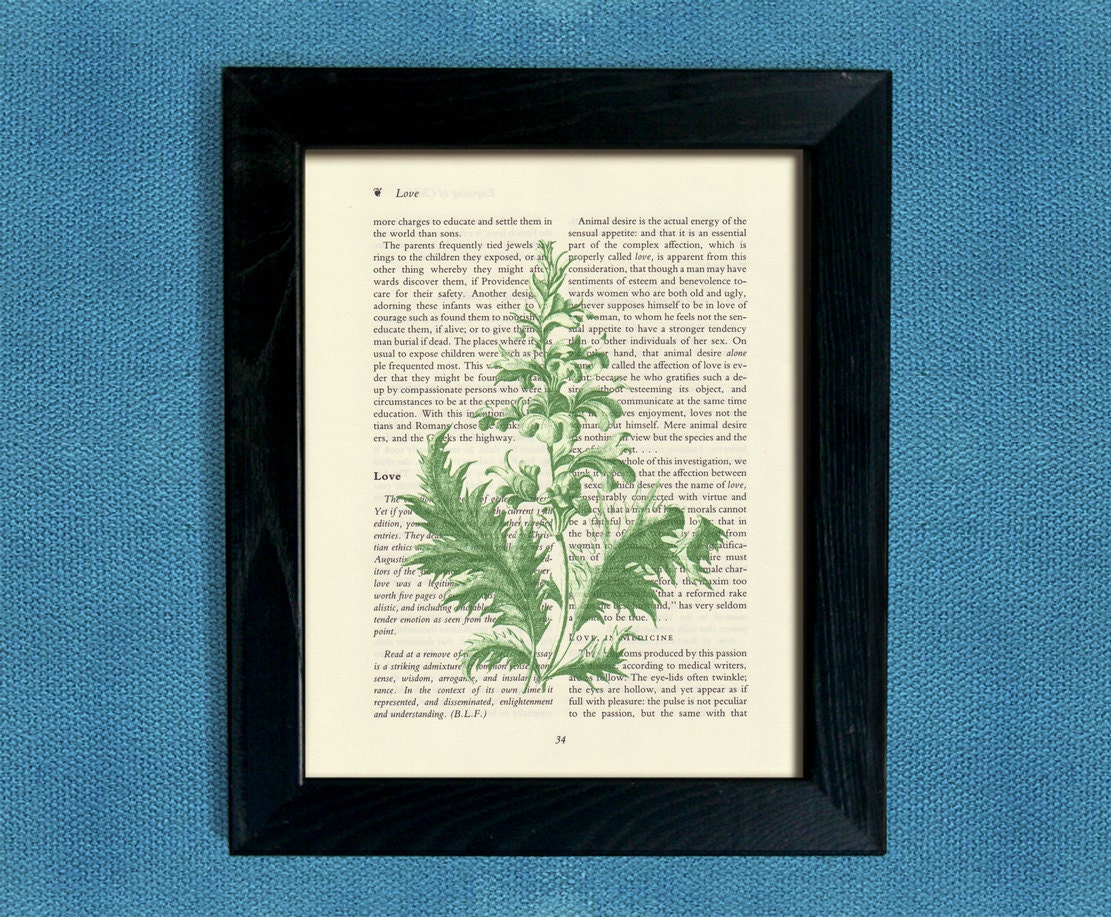 The ACANTHUS plant ornament on salvaged vintage page book art print