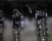 Icicles 8x10 Fine Art Print