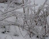 Frozen 8x10 Fine Art Print