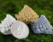Set of Small Magnets: cast "Brocco-Fractals".  Dyed with Tea & Dusted with Mica