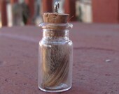 Red Fox Fur Totem Glass Jar Pendant