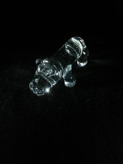 Clear Hippo