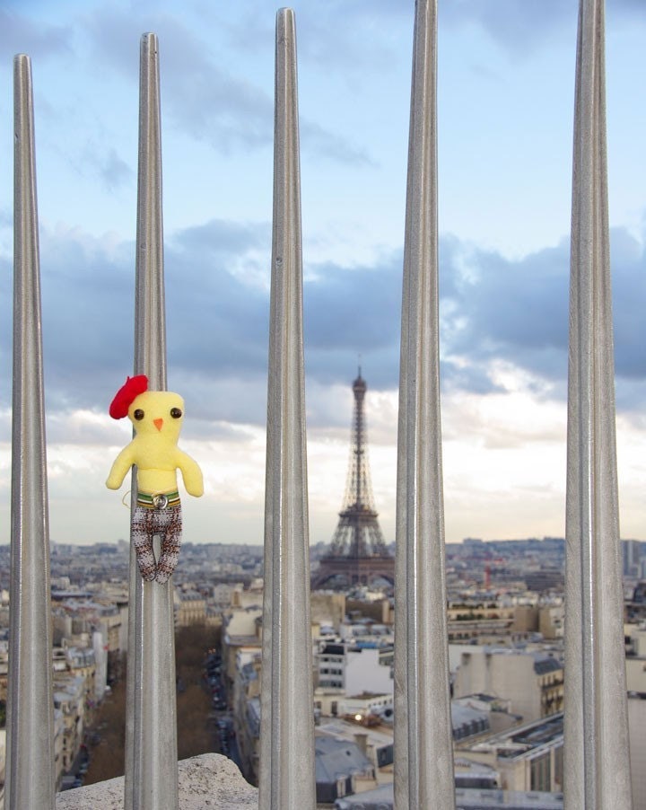 Chicken Art - Chickenpants Limited No. 7 - Chickenpants in France
