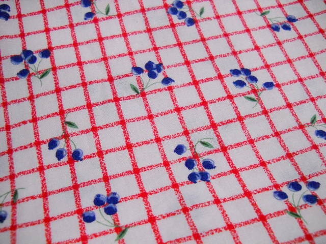 Red Windowpane Check Fabric with Blueberry Print