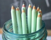 10 Piece Mint Eco-Friendly Recycled Paper Pencil Set - Great gift for : Office - Party Favor - Wedding Favor - Children