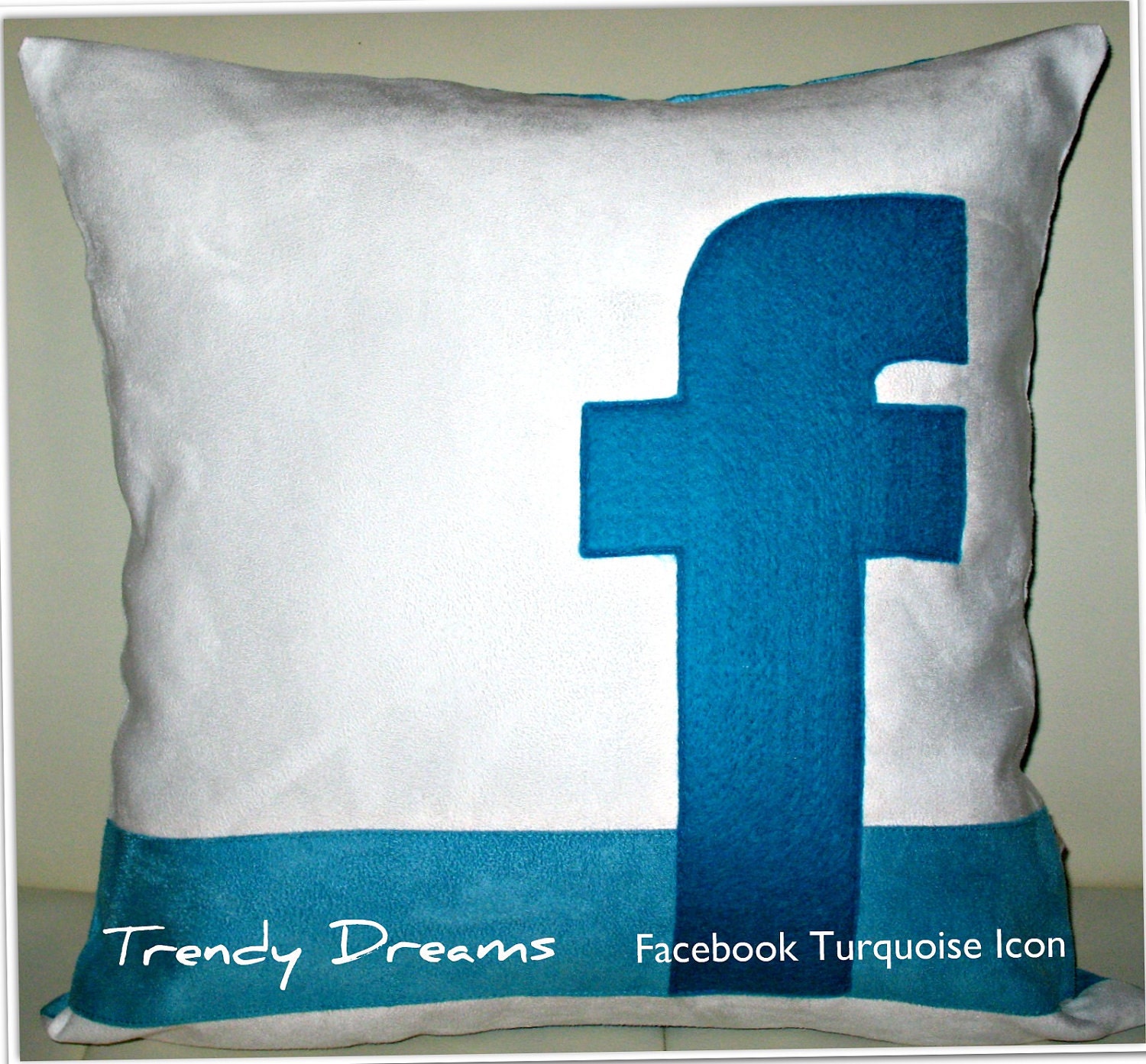 Free US shipping Unique Designer 16x16 Faux Suede White and Turquoise Pillow Cover with  Facebook  Icon  Applique