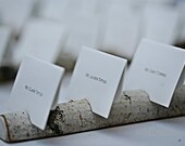 Reserved - 10 Birch Multi Place Card Escort Card Business Card Holder  for Weddings Businesses Crafters Artists