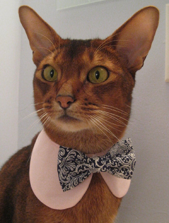 Sweet Round Collar in choice of color or print & interchangeable bow tie