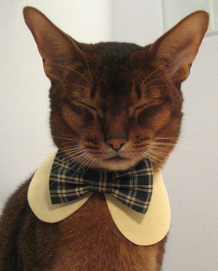 School uniform collar and bow tie set for cat
