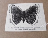 Moleskine - Butterfly illustration - Vintage dictionary small notebook