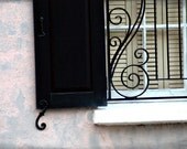 wrought iron window photo 8x12