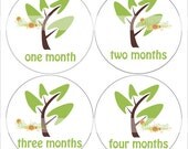 Monthly Onesie Sticker (Neutral):  Tree
