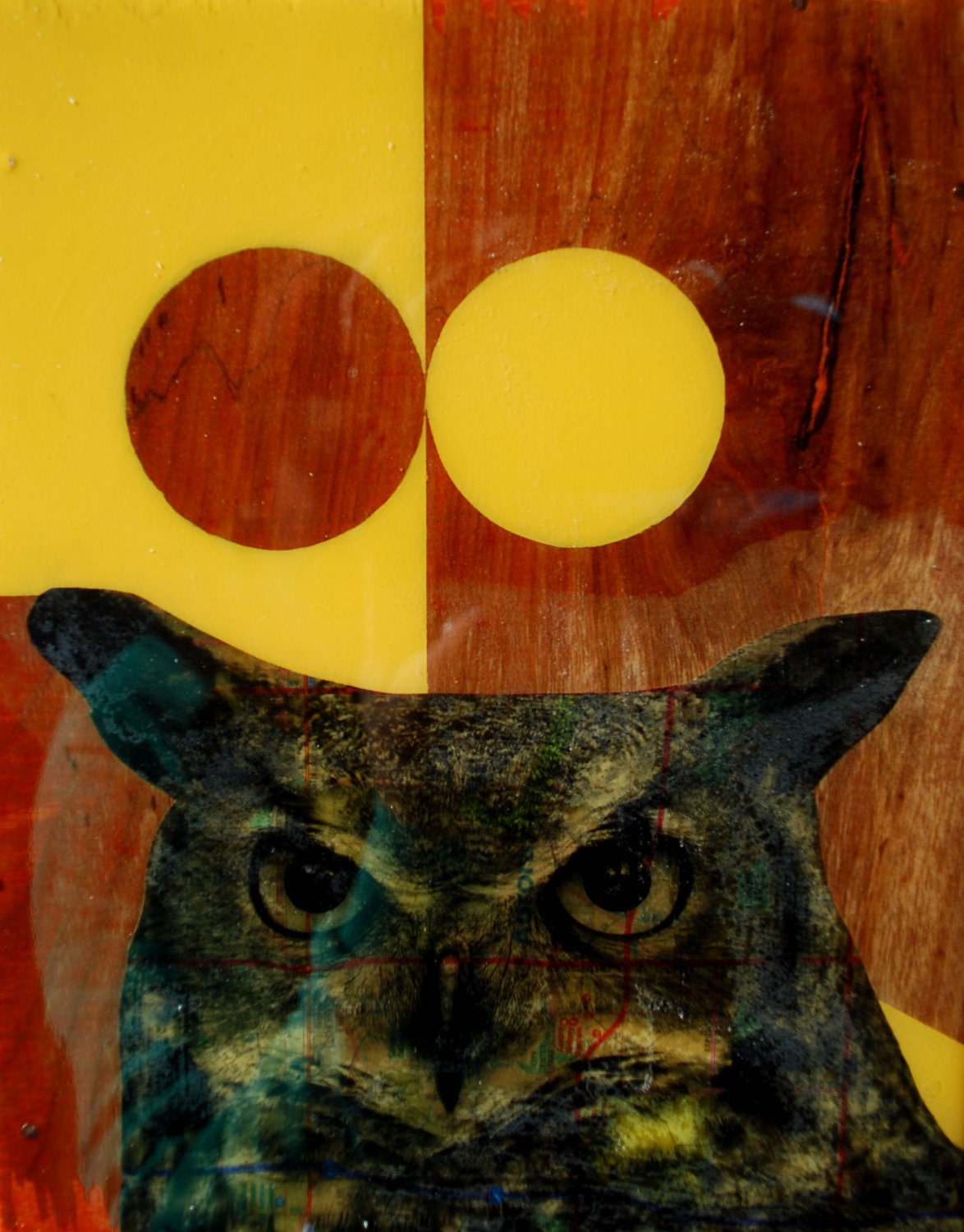 Inquisitive Owl Wood Panel